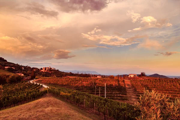 Zachód słońca w winnicach Rosazzo po burzy — Zdjęcie stockowe