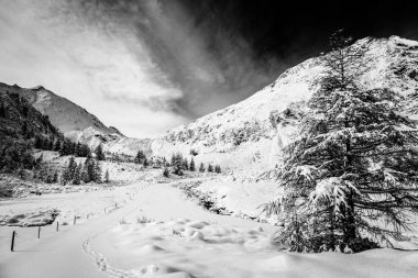 Güneşli günde Alpleri'nde kar yağışı sonra