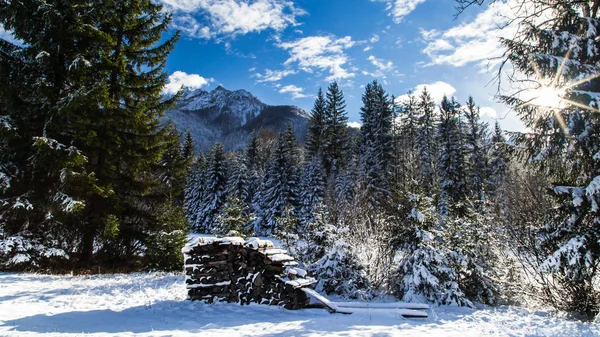 Eerste sneeuw op de berg — Stockfoto