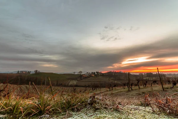Холодное туманное утро в виноградниках Италии — стоковое фото