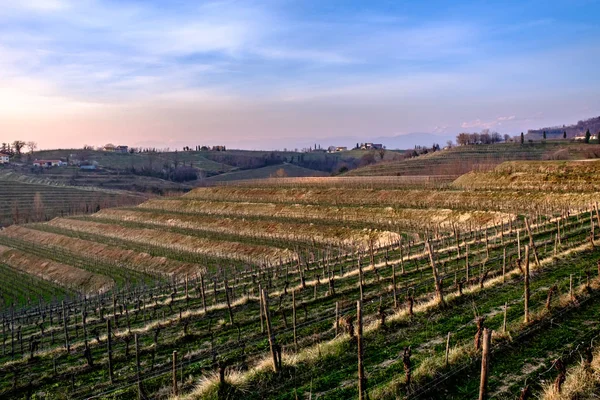 Puesta de sol de primavera en los viñedos de Collio Friulano — Foto de Stock