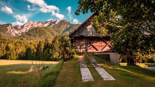 Sommaren har anlänt till de italienska Alperna — Stockfoto