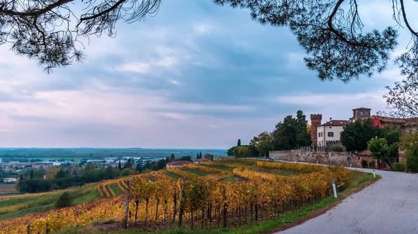 Autumn sunset in the vineyards of Collio Friulano — Stock Photo, Image