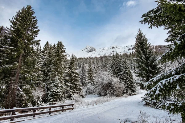 Início do dia de inverno em Sella Nevea — Fotografia de Stock