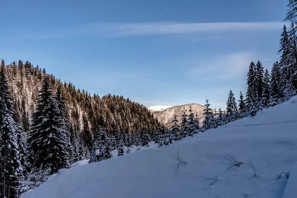 วันฤดูหนาวในเทือกเขาแอลป์ Friuli Venezia-Giulia — ภาพถ่ายสต็อก