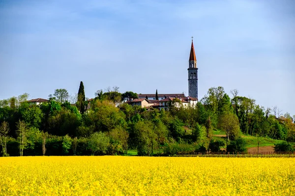 Campos de colza frente a un pueblo italiano — Foto de Stock