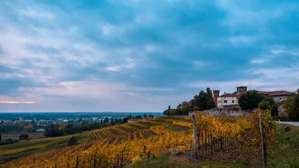 Jesienny zachód słońca w winnicach Collio Friulano — Zdjęcie stockowe