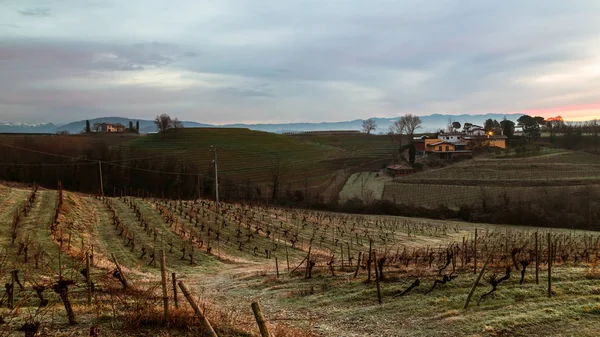 Cold misty morning in the vineyards of Italy — Stock Photo, Image