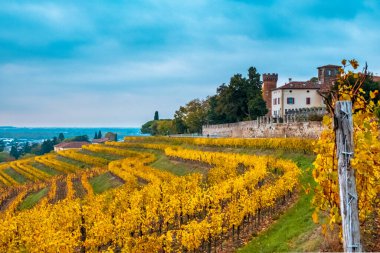 Collio Friulano üzüm bağlarında sonbahar günbatımı
