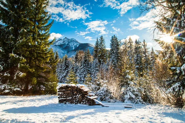 İlk kar Mountain — Stok fotoğraf