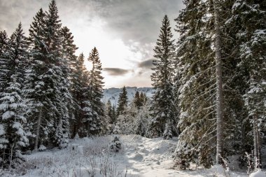 Sella Nevea 'da kış başları