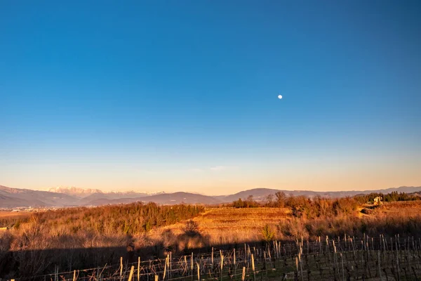 Pôr do sol de inverno nas vinhas de Collio Friulano — Fotografia de Stock
