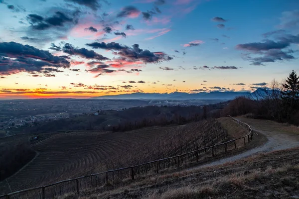 Pôr-do-sol colorido nas vinhas italianas — Fotografia de Stock