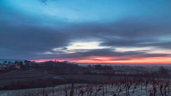 Ködös Téli Napkelte Collio Friulano Olaszország — Stock Fotó