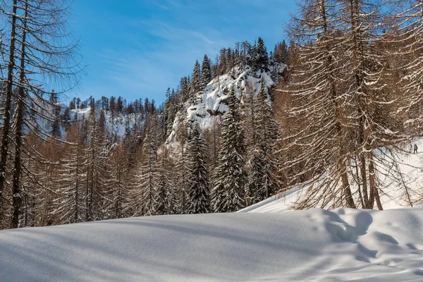 Picos Tarvisio Nos Alpes Italianos — Fotografia de Stock