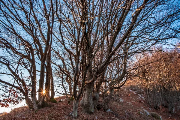 Trekking Dia Inverno Nas Montanhas Friuli Venezia Giulia Itália — Fotografia de Stock