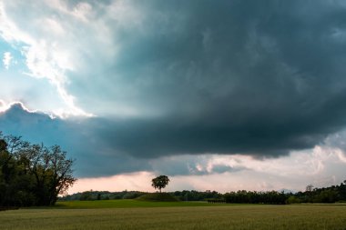 Fırtınalı bir bahar gününde Friuli Venezia-Giulia 'nın tarlaları