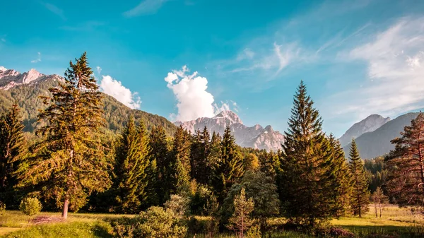 Giornata Estiva Una Valle Alpina Del Friuli Venezia Giulia — Foto Stock