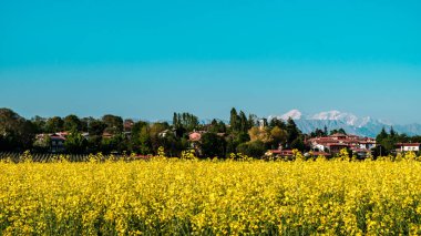 İtalya kırsalında güneşli bir bahar günü