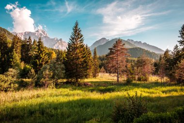 İtalya 'nın Friuli Venezia-Giulia Alp Vadisi' nde yaz günü
