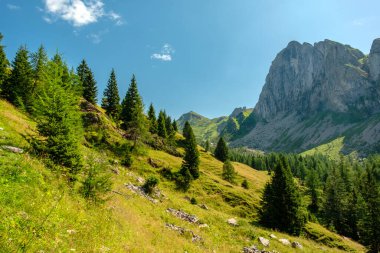 İtalya 'nın Friuli Venezia-Giulia Alplerinde yaz günü