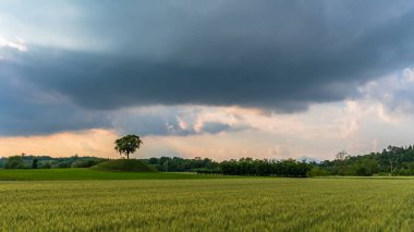 Fırtınalı bir bahar gününde Friuli Venezia-Giulia 'nın tarlaları