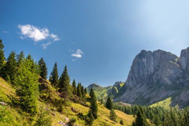 İtalya 'nın Friuli Venezia-Giulia Alplerinde yaz günü