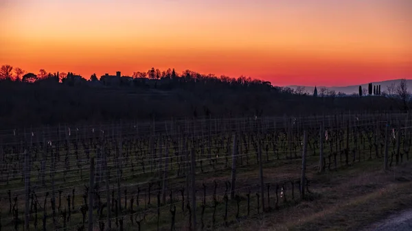 Sun Goes Vineyards Friuli Venezia Giulia — Stock Photo, Image