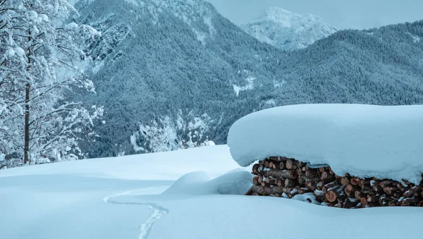 Julian Alps Depois Uma Grande Queda Neve Província Udine Região — Fotografia de Stock