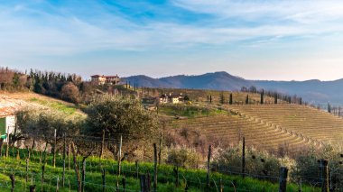 Güneş Friuli Venezia-Giulia üzüm bağlarından batıyor.