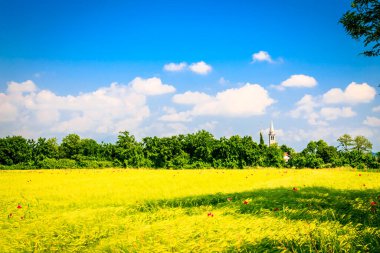 Alanları kırsal, Friuli Venezia Giulia