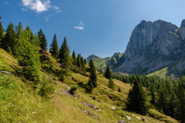 İtalya 'nın Friuli Venezia-Giulia Alplerinde yaz günü