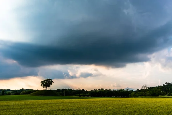 Fält Friuli Venezia Giulia Stormig Vårdag — Stockfoto