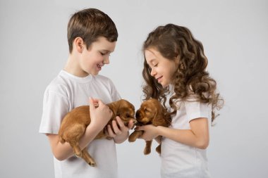 Beyaz arka plan üzerinde izole puppys çocuklarla. Çocuk evde beslenen hayvan dostluk