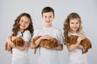 Beyaz arka plan üzerinde izole puppys çocuklarla. Çocuk evde beslenen hayvan dostluk