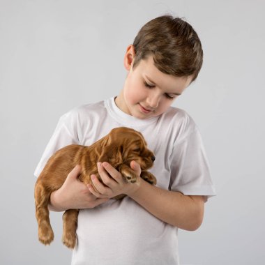 Beyaz arka plan üzerinde izole kırmızı köpek yavrusu olan çocuk. Çocuk evde beslenen hayvan dostluk