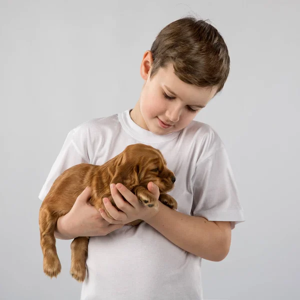 Ragazzo con cucciolo rosso isolato su sfondo bianco. Kid Amicizia animale domestico — Foto Stock