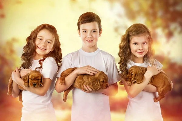 Tres niños lindos con cachorros al aire libre. Amistad mascota niño —  Fotos de Stock