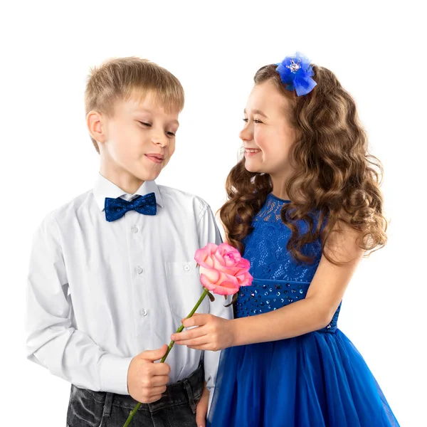 Lindos niños, chico da una niña pequeña flor aislada en blanco. Día de San Valentín. Amor infantil — Foto de Stock
