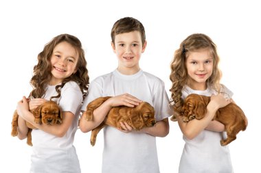 Beyaz arka plan üzerinde izole puppys çocuklarla. Çocuk evde beslenen hayvan dostluk