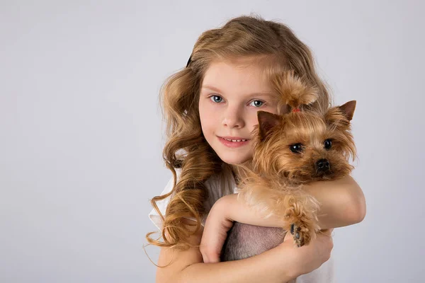 Bambina con Yorkshire Terrier cane isolato su sfondo grigio. Bambini pet amicizia — Foto Stock