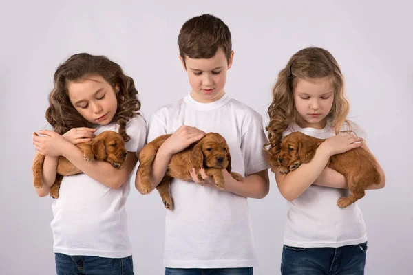 Τα παιδιά με κόκκινο κουτάβια που απομονώνονται σε λευκό φόντο. Παιδί κατοικίδιο ζώο φιλία — Φωτογραφία Αρχείου