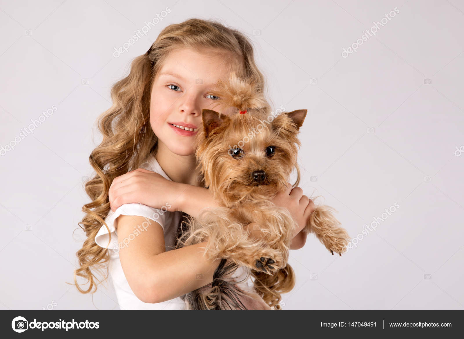 yorkshire terrier with kids