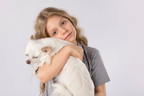 Маленькая девочка с белой чихуахуа собака изолированы на белом фоне. Дружба домашних животных — стоковое фото