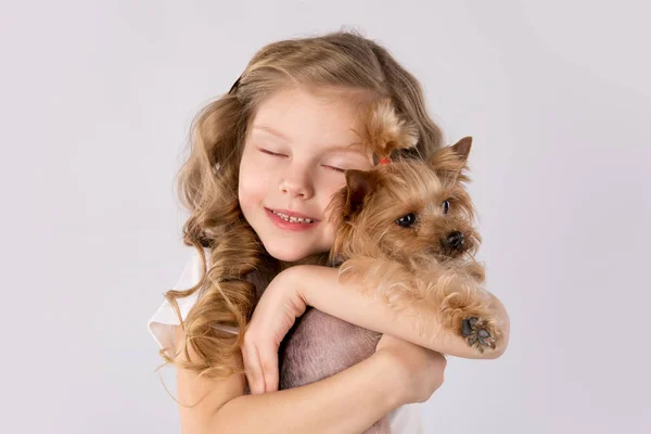 Bambina con cane Yorkshire Terrier bianco isolato su sfondo bianco. Amicizia per animali domestici per bambini — Foto Stock