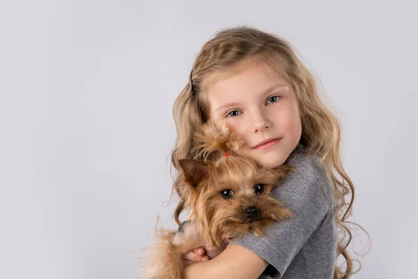 Menina com Yorkshire Terrier cão isolado no fundo branco. Crianças pet amizade — Fotografia de Stock