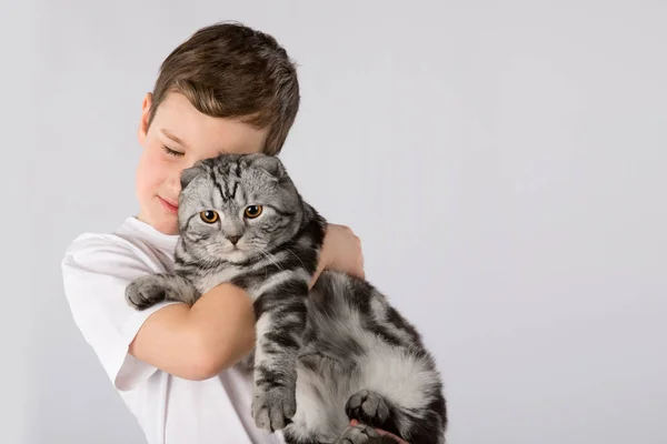 Jongen met Scottish Fold kat geïsoleerd op een witte achtergrond. Kid huisdier vriendschap — Stockfoto