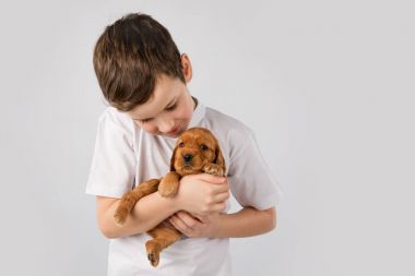 Beyaz arka plan üzerinde izole kırmızı köpek yavrusu olan çocuk. Çocuk evde beslenen hayvan dostluk