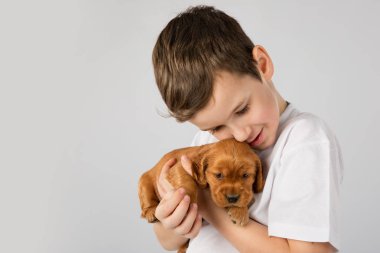 Beyaz arka plan üzerinde izole kırmızı köpek yavrusu olan çocuk. Çocuk evde beslenen hayvan dostluk
