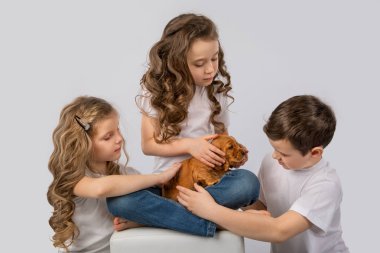 Beyaz arka plan üzerinde izole kırmızı köpek yavrusu olan çocuklar. Çocuk evde beslenen hayvan dostluk